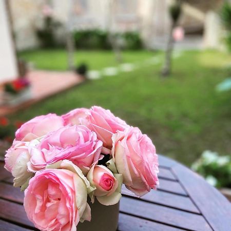 Victoria House B&B Pisa Eksteriør bilde