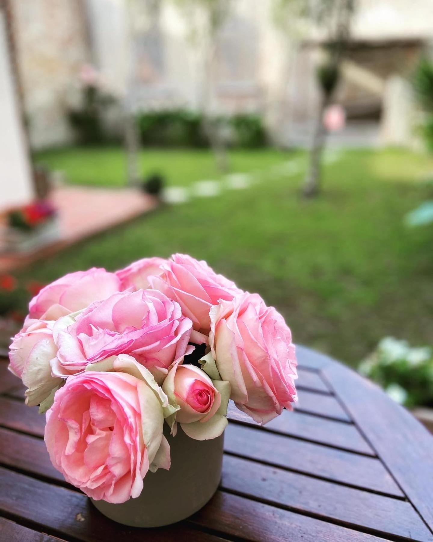 Victoria House B&B Pisa Eksteriør bilde