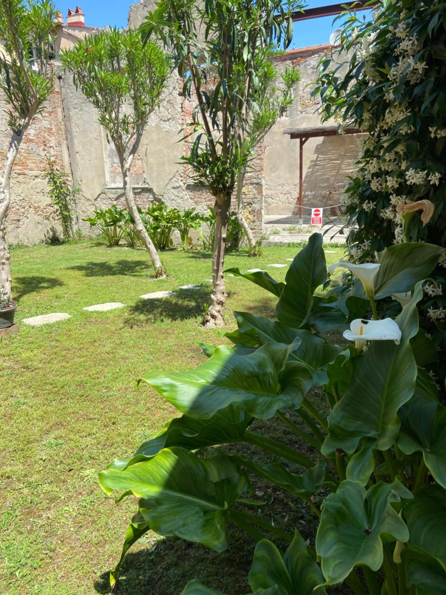 Victoria House B&B Pisa Eksteriør bilde